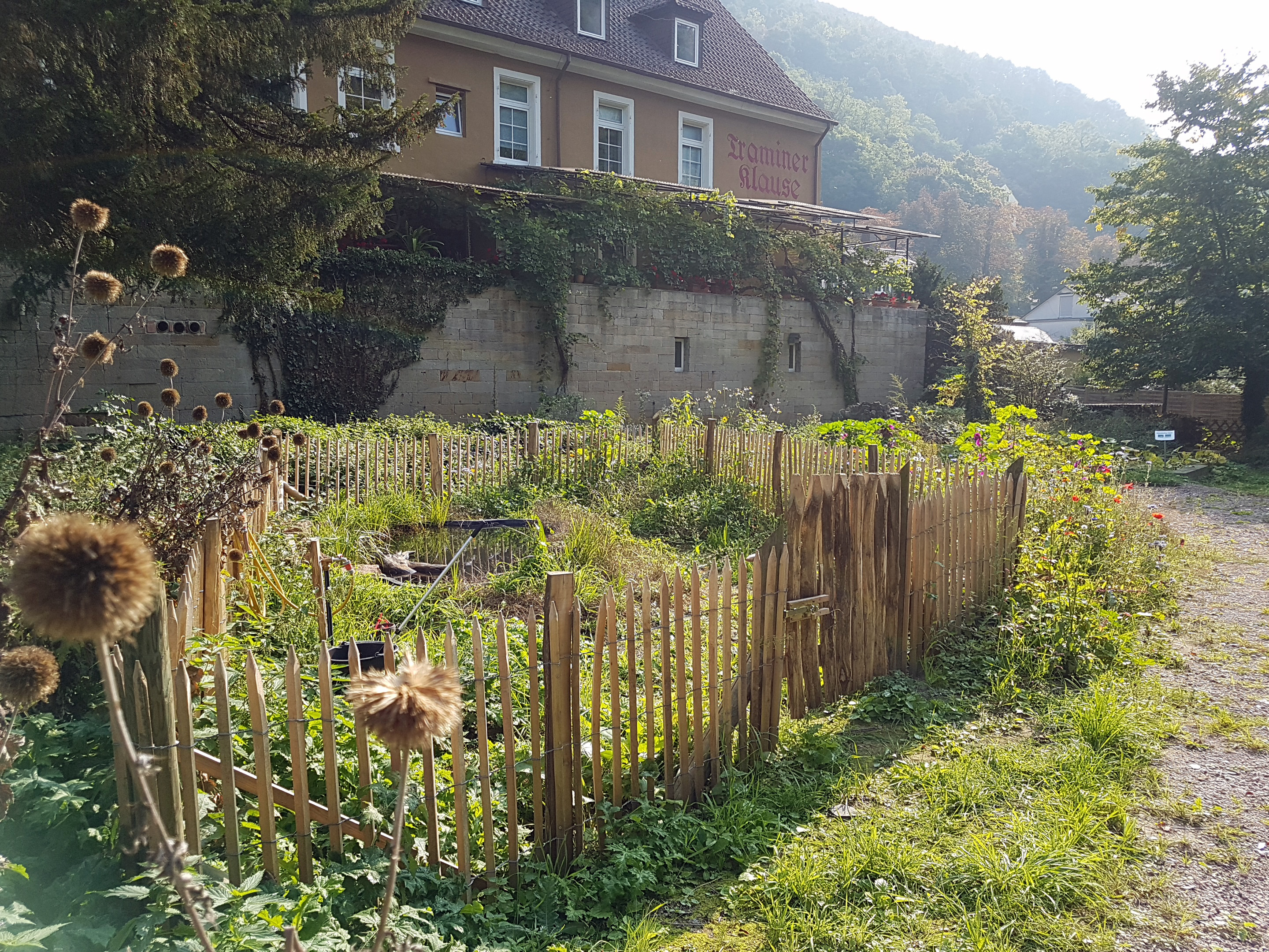 IN PLANUNG: 1. GartenSymposium Kurpfalz „Gärtnern in Stadt und Land“
